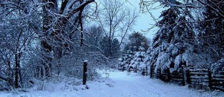 Apel do Zarządów Rodzinnych Ogrodów Działkowych - 11.02.2021