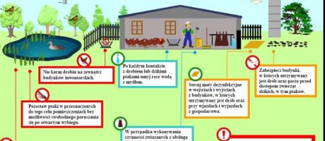 Ptasia grypa. Informacje dla działkowców hodujących gołębie w ROD. Rozporządzenia wojewody - 01.04.2021