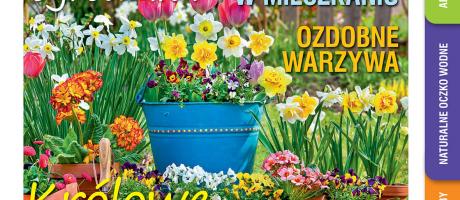  Kwietniowy „Mój Ogródek” – od 21.03 w sprzedaży! Kup, przeczytaj, poleć innym działkowcom i ogrodnikom! - 22.03.2023