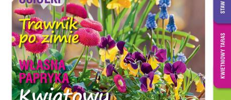 Kwietniowy „Mój Ogródek” – od 20.03 w sprzedaży! Kup, przeczytaj, poleć innym działkowcom i ogrodnikom!