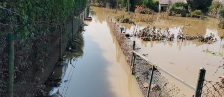 Apel prezesa Okręgu Pomorskiego w Gdańsku do Zarządów ROD Okręgu Pomorskiego