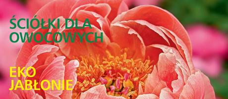 Czytajcie „Działkowca”!