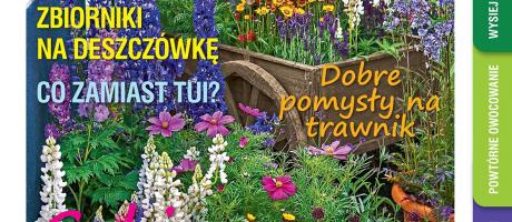 Sierpniowy „Mój Ogródek” – od 21.07 w sprzedaży! Kup, przeczytaj, poleć innym działkowcom i ogrodnikom!