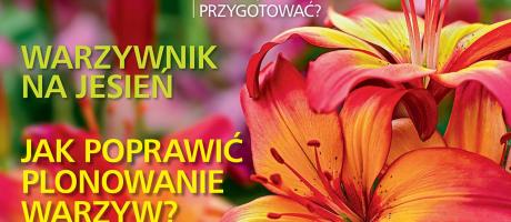  Czytajcie „Działkowca”! 