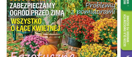 Listopadowy „Mój Ogródek” – od 20.10 w sprzedaży! Kup, przeczytaj, poleć innym działkowcom i ogrodnikom! 
