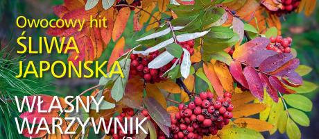 Czytajcie „Działkowca”! 