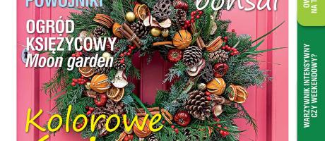 Grudniowy „Mój Ogródek” – od 20.11 w sprzedaży! Kup, przeczytaj, poleć innym działkowcom i ogrodnikom