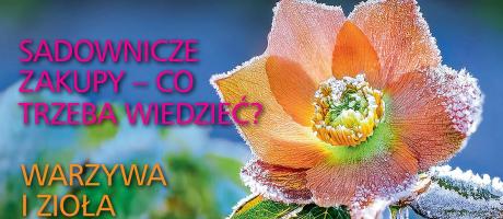 Czytajcie „Działkowca”! 