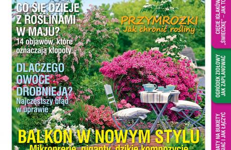 01_MO05.jpg